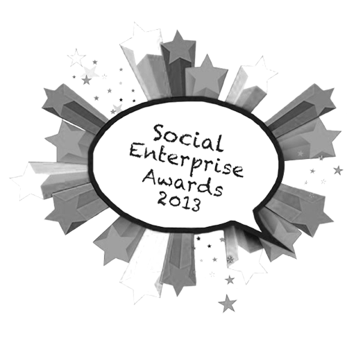 Social enterprise2013